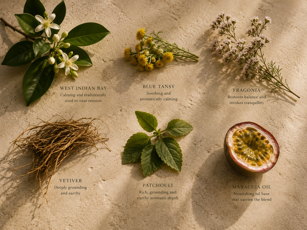 Equilibrium Aromatherapy Pulse Point Oil
