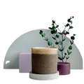 Luxury Scented Candle Seasonal Release